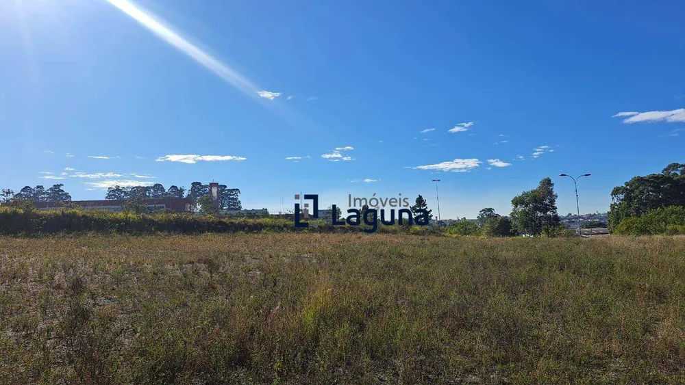 Loteamento e Condomínio, 6 hectares - Foto 12