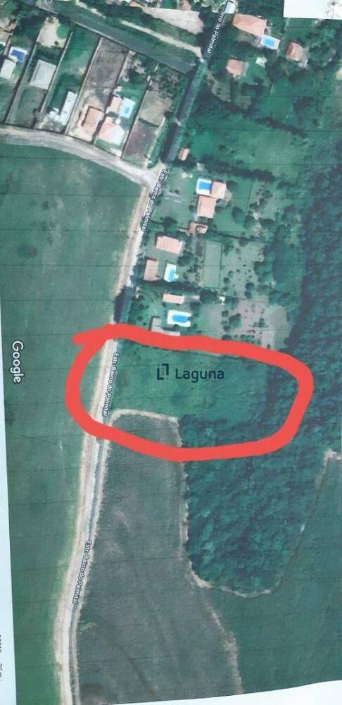 Terreno, 5000 m² - Foto 7