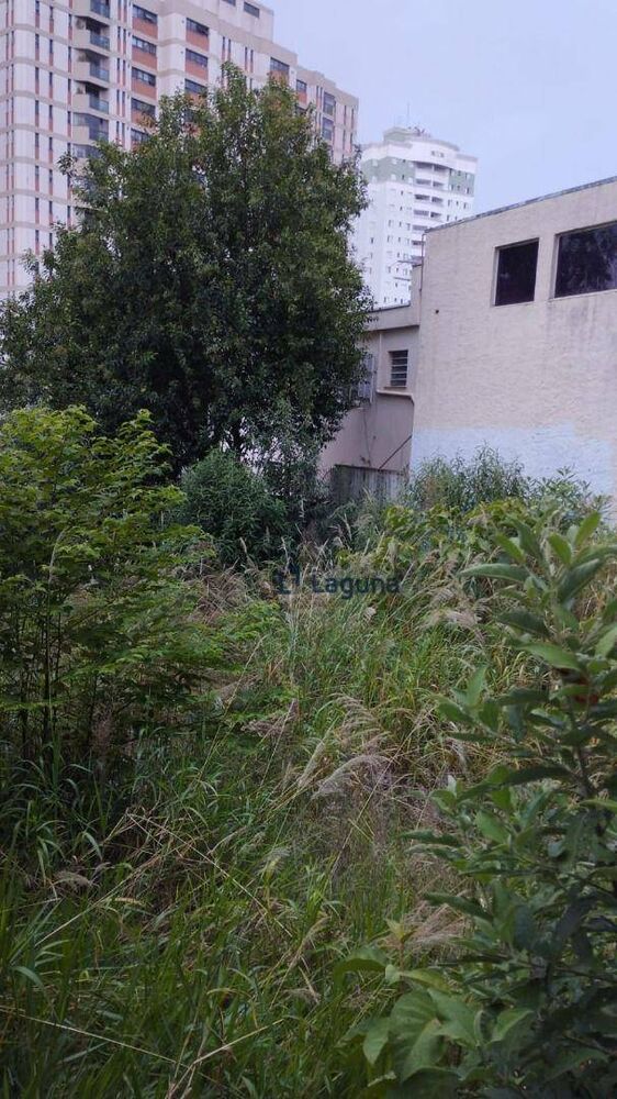 Terreno, 300 m² - Foto 6