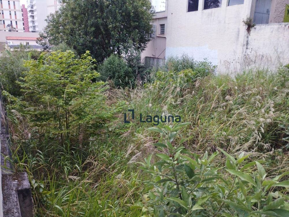 Terreno, 300 m² - Foto 2