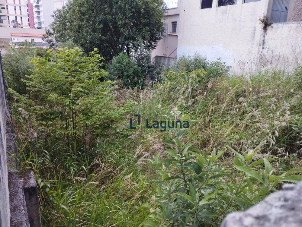 Terreno, 300 m² - Foto 7