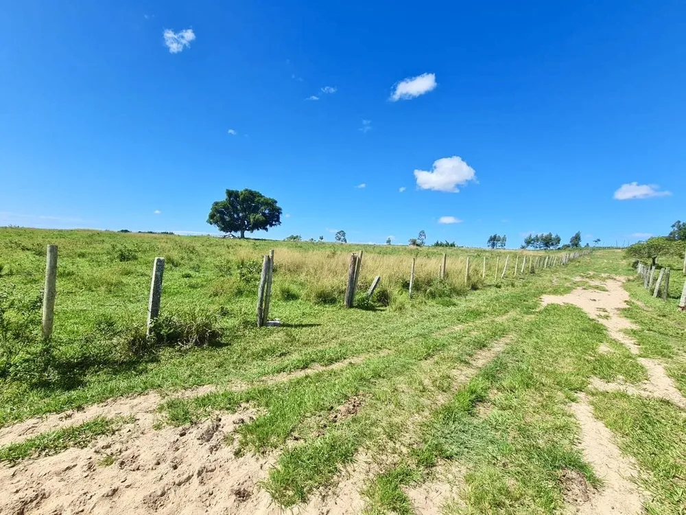 Fazenda, 252 hectares - Foto 15