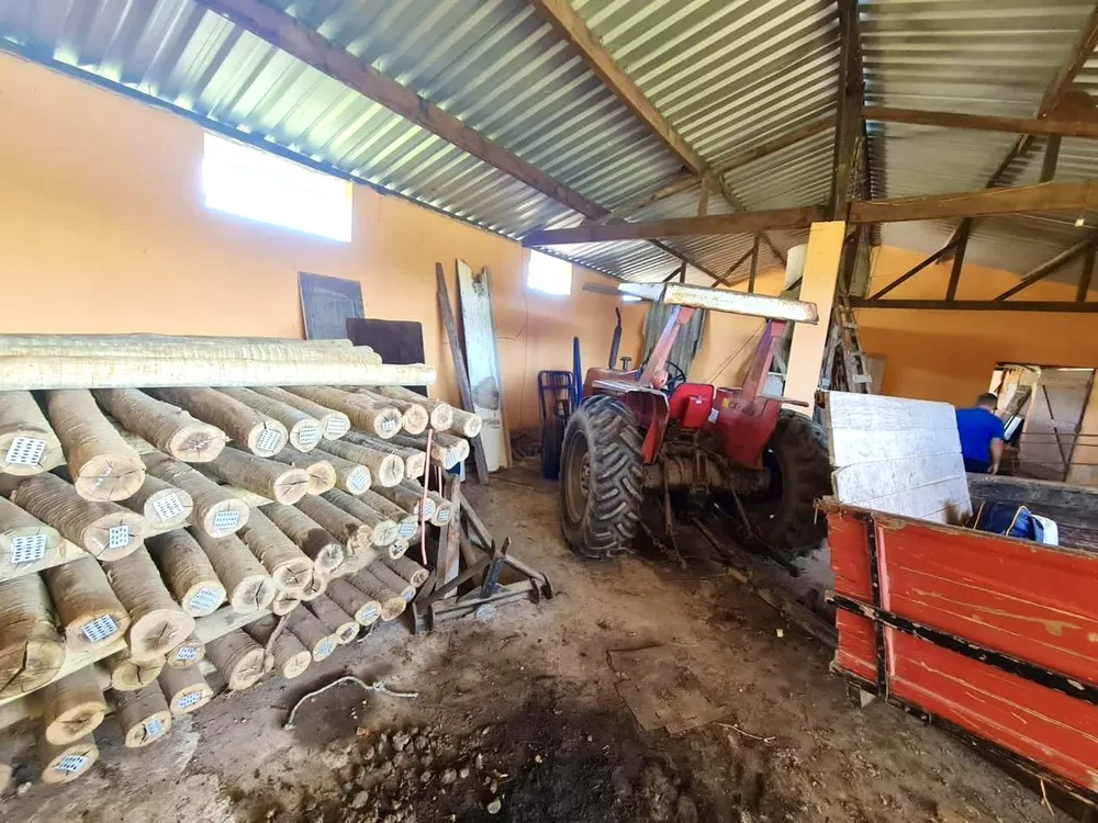 Fazenda, 252 hectares - Foto 14