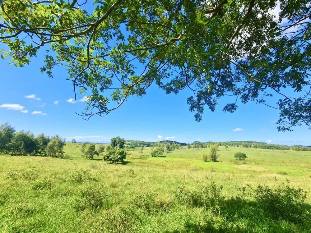 Fazenda, 252 hectares - Foto 19