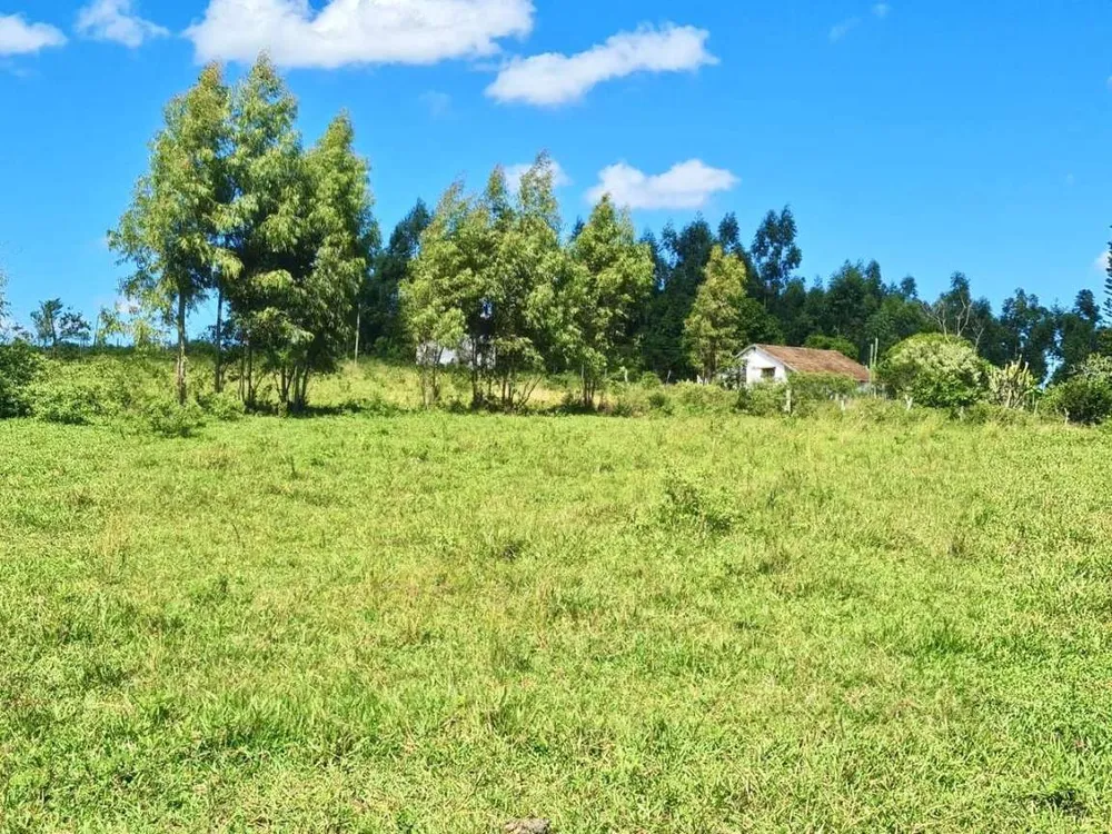 Fazenda, 252 hectares - Foto 22
