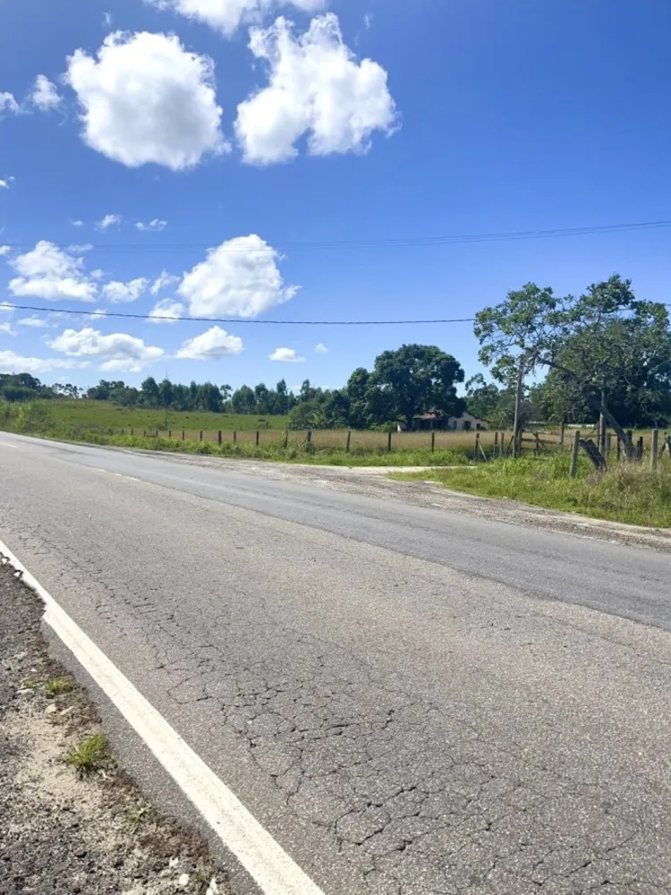 Fazenda, 252 hectares - Foto 8