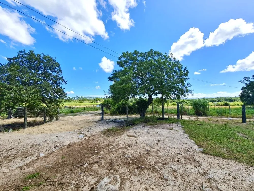 Fazenda, 252 hectares - Foto 18