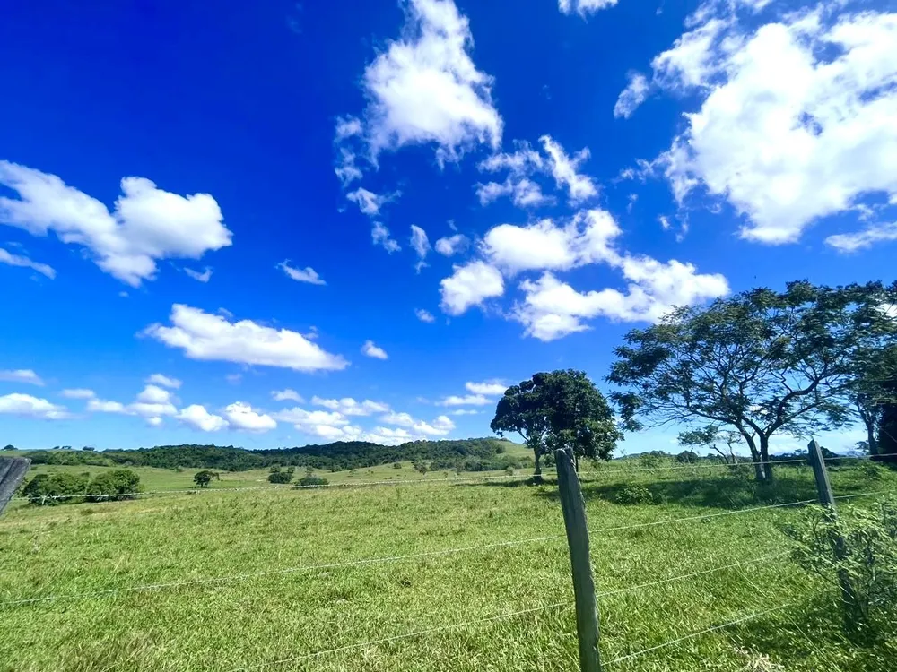 Fazenda, 252 hectares - Foto 6