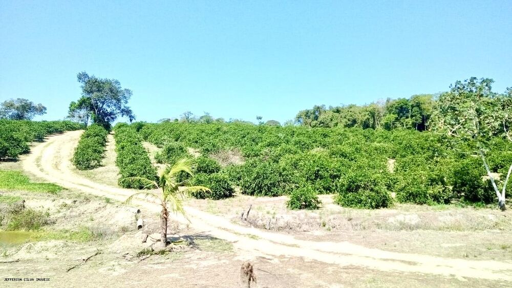 Sítio à venda, 500000m² - Foto 7