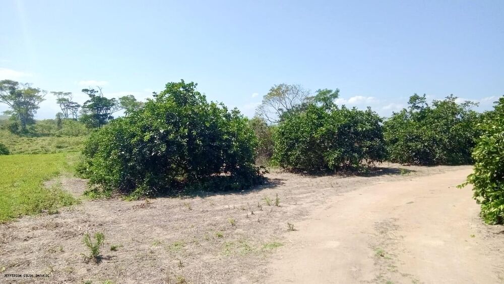 Sítio à venda, 500000m² - Foto 12