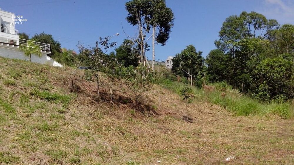 Terreno, 589 m² - Foto 4