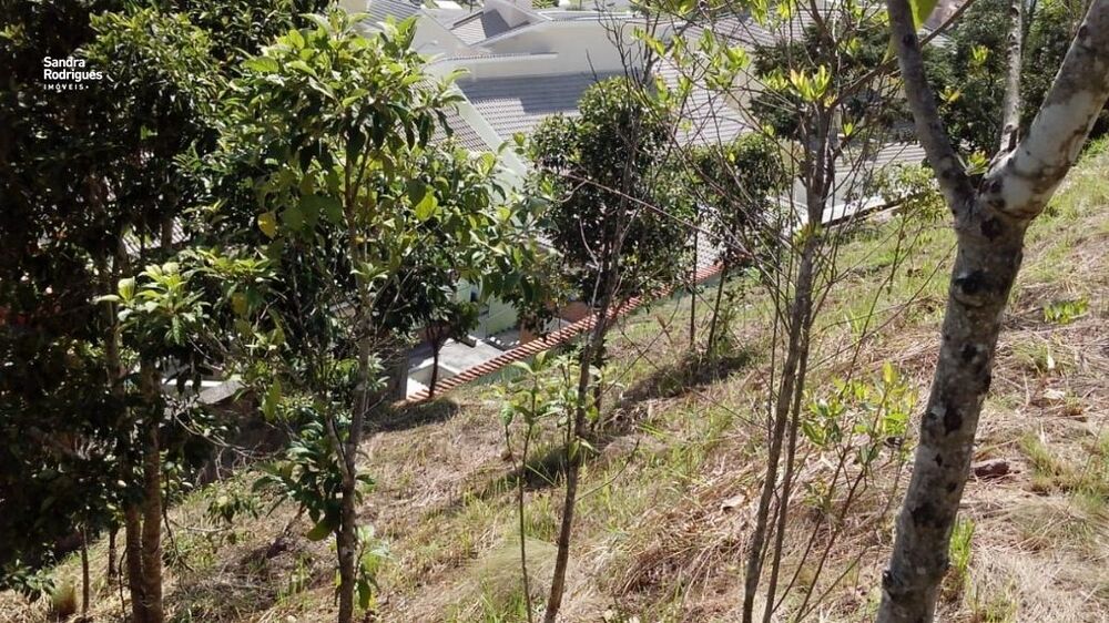 Terreno, 589 m² - Foto 9