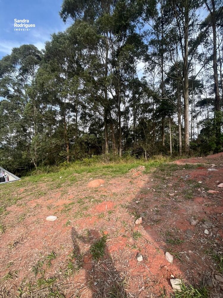 Terreno, 304 m² - Foto 4