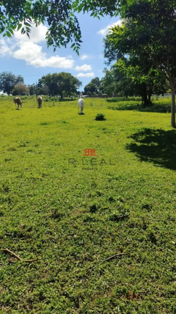 Chácara, 2 quartos, 2 hectares - Foto 1