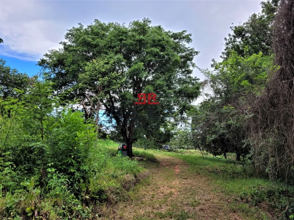 Sítio, 1 quarto, 3 hectares - Foto 8