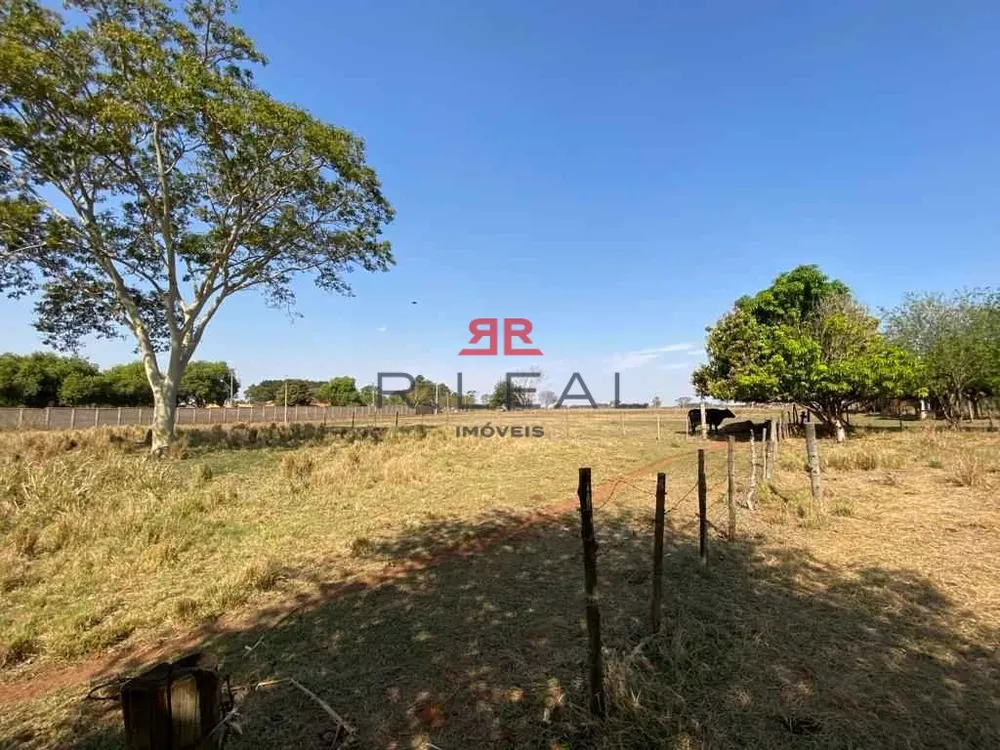 Chácara, 2 quartos, 1 m² - Foto 4
