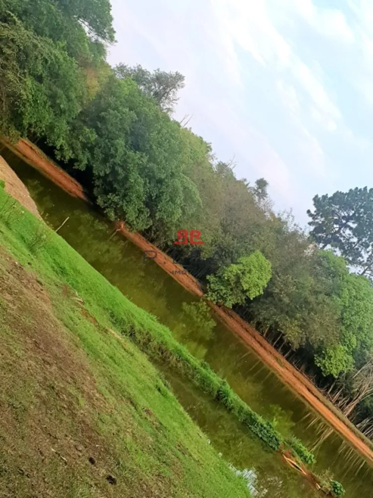 Sítio, 5 quartos, 7 hectares - Foto 1