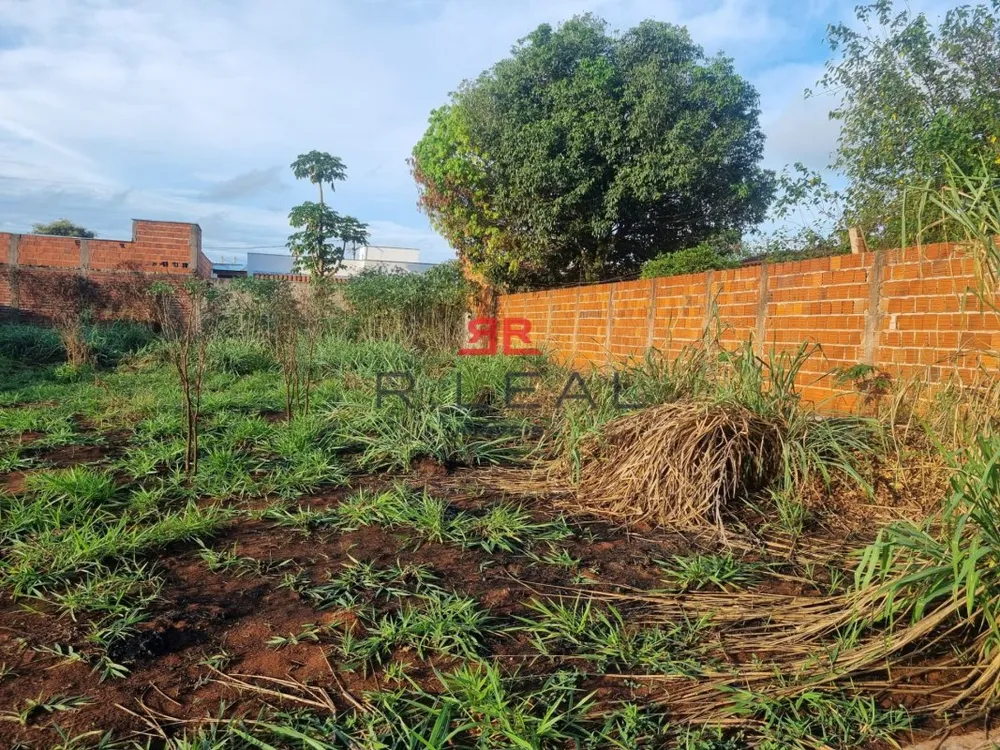 Terreno, 250 m² - Foto 3