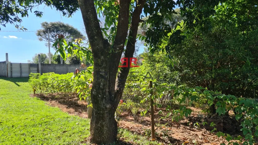Terreno, 1250 m² - Foto 5