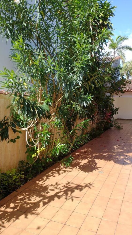 Sobrado, 4 quartos, 299 m² - Foto 1