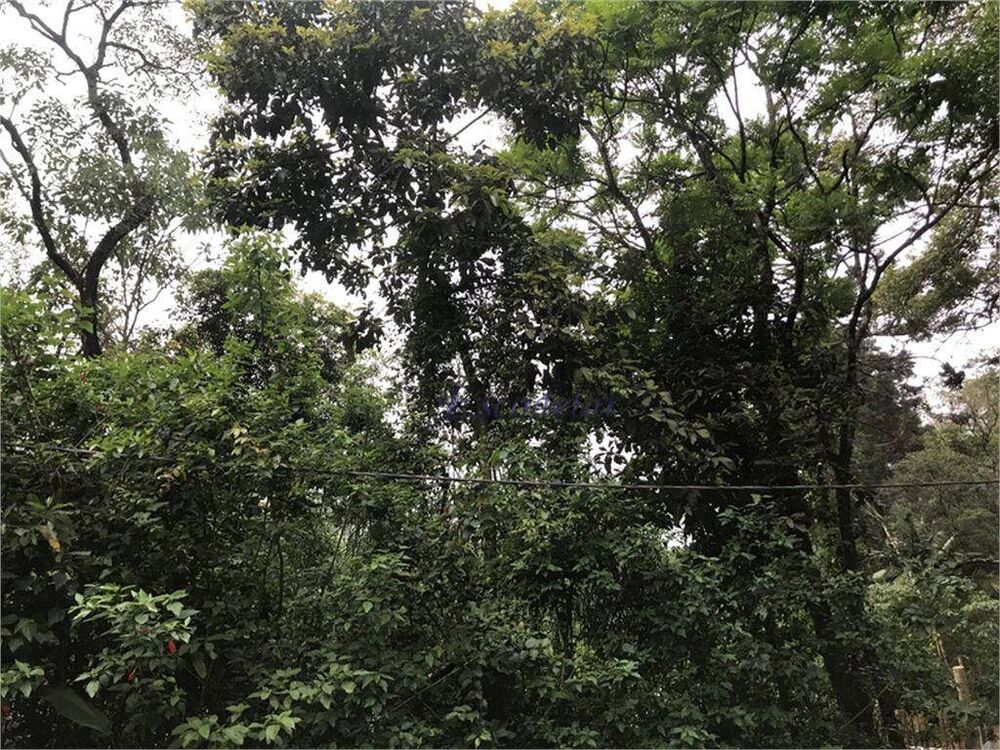 Terreno, 1165 m² - Foto 8