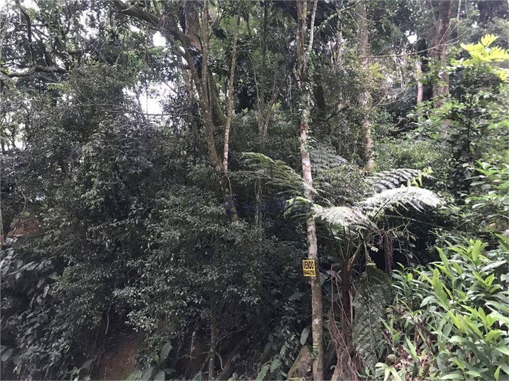 Terreno, 1165 m² - Foto 6