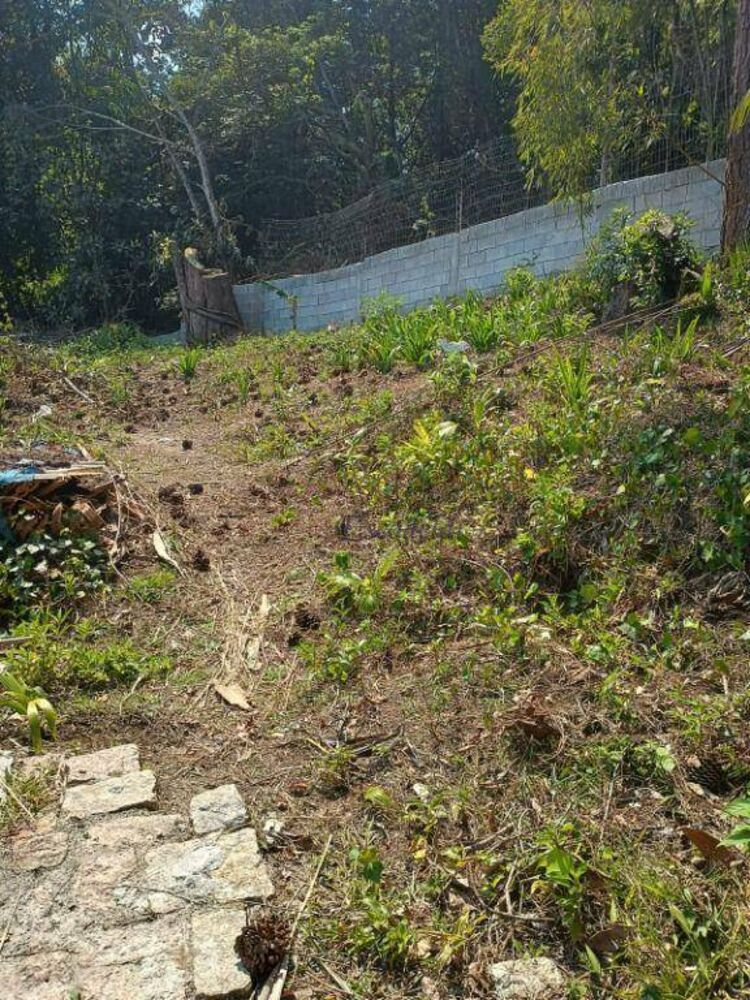 Terreno, 300 m² - Foto 4