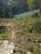 Terreno, 300 m² - Foto 4