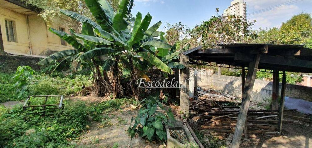 Terreno, 800 m² - Foto 14