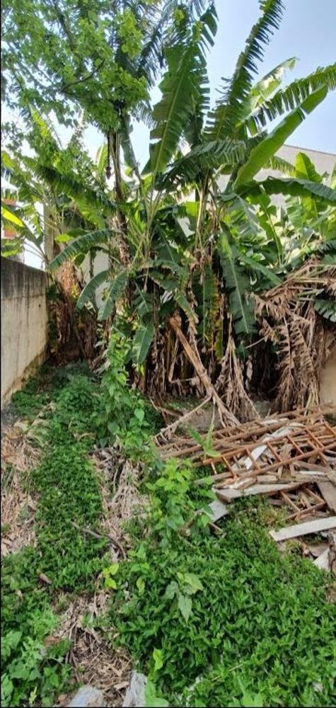 Terreno, 800 m² - Foto 7