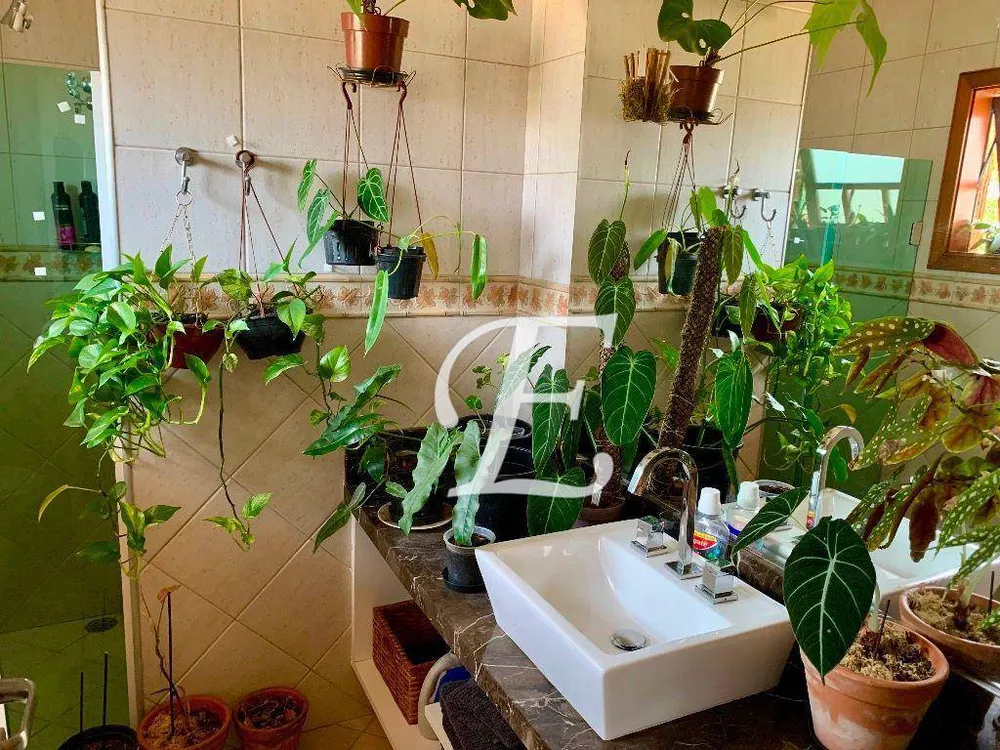Casa, 4 quartos, 502 m² - Foto 3