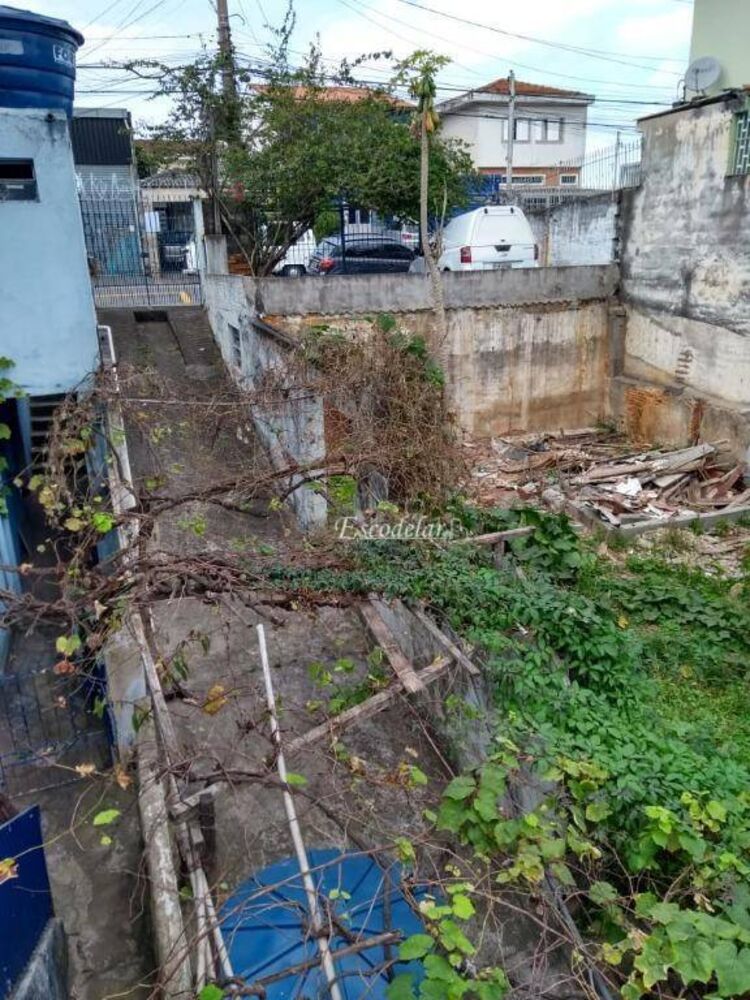 Terreno, 250 m² - Foto 2
