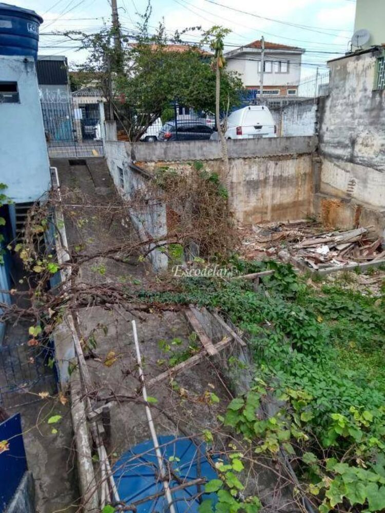 Terreno, 250 m² - Foto 4