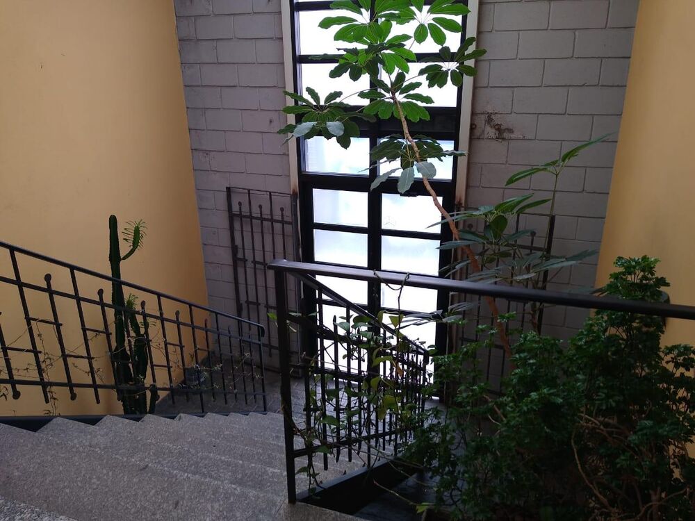 Casa, 10 quartos, 480 m² - Foto 35