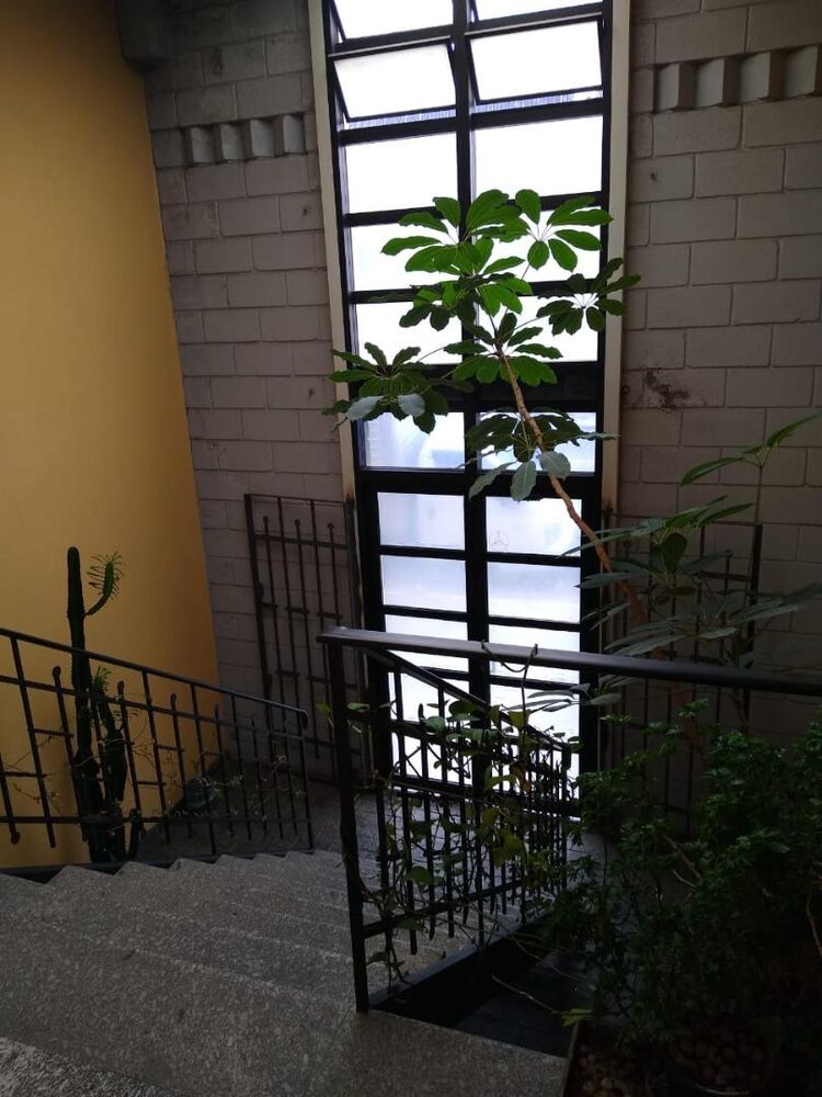 Casa, 10 quartos, 480 m² - Foto 1