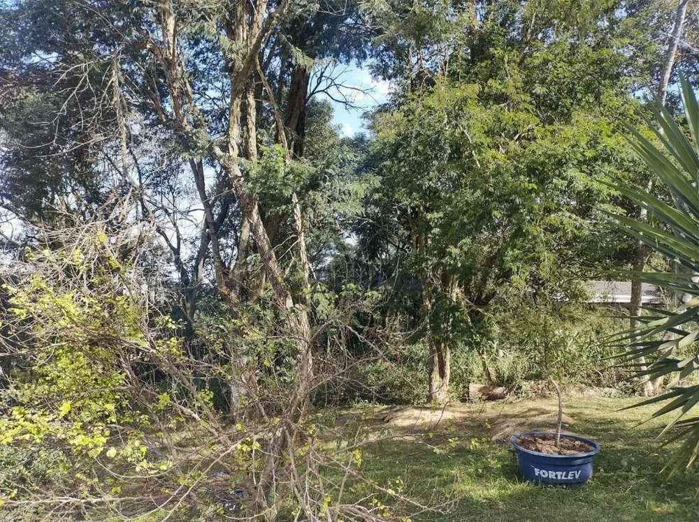 Terreno à venda, 925M2 - Foto 4