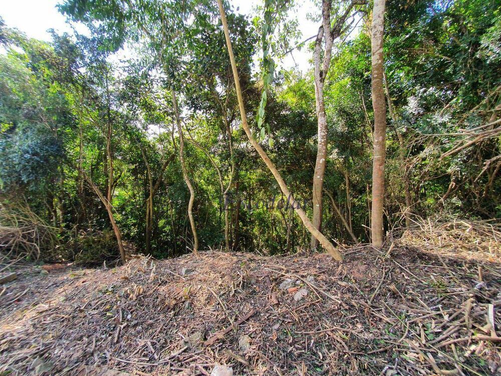 Terreno, 1070 m² - Foto 4