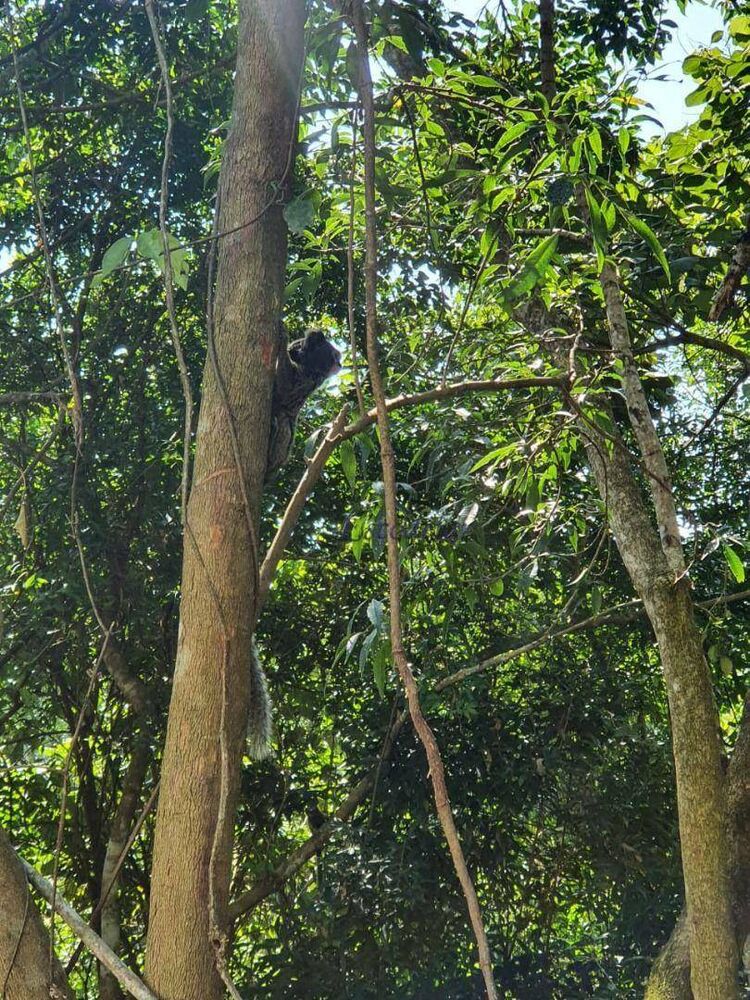 Terreno, 1070 m² - Foto 10