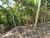 Terreno, 1070 m² - Foto 5