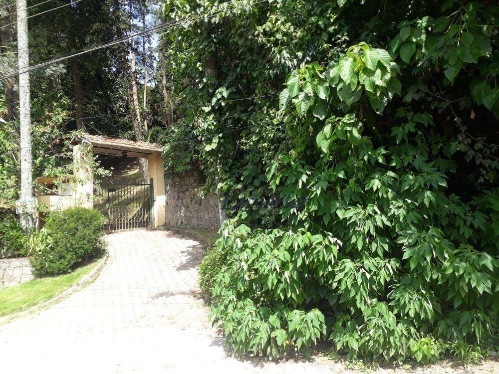 Terreno, 1426 m² - Foto 3