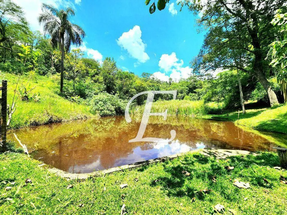 Sítio, 6 quartos, 1 hectares - Foto 4
