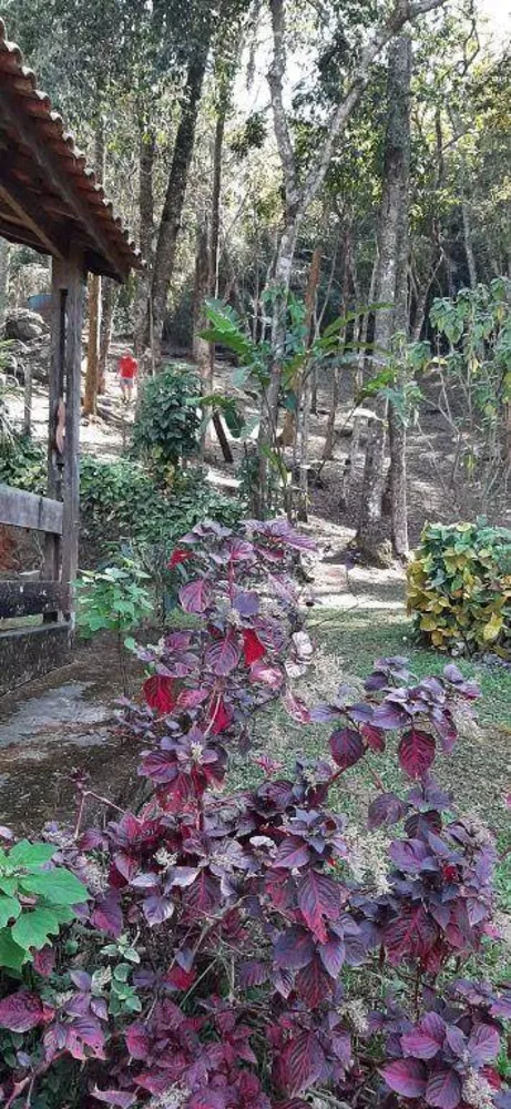 Casa de Condomínio, 2 quartos - Foto 6
