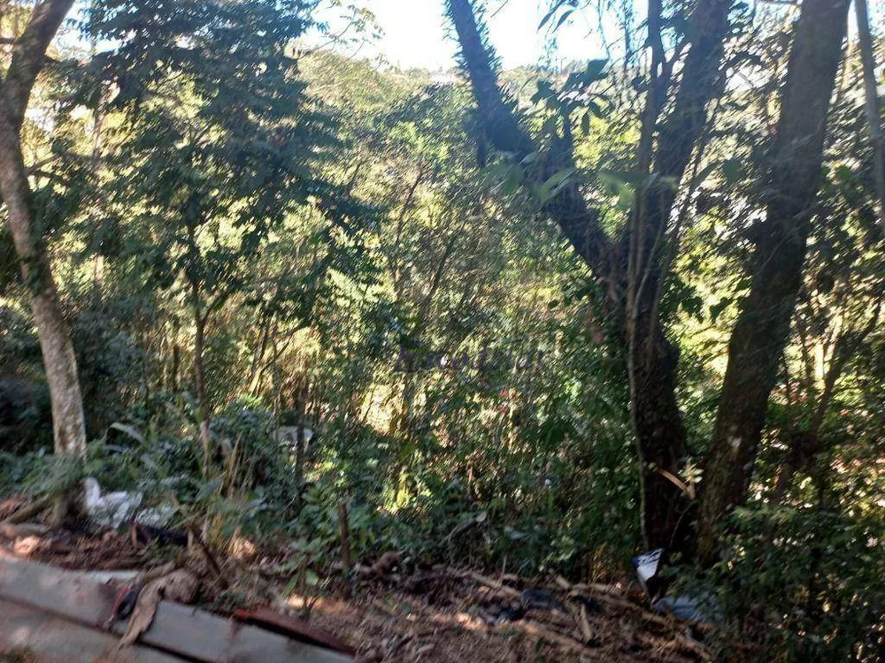 Terreno, 3357 m² - Foto 9