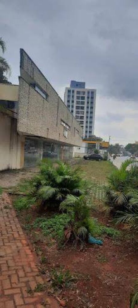 Loja-Salão, 203 m² - Foto 4