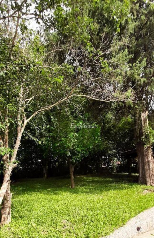 Casa, 3 quartos, 450 m² - Foto 35