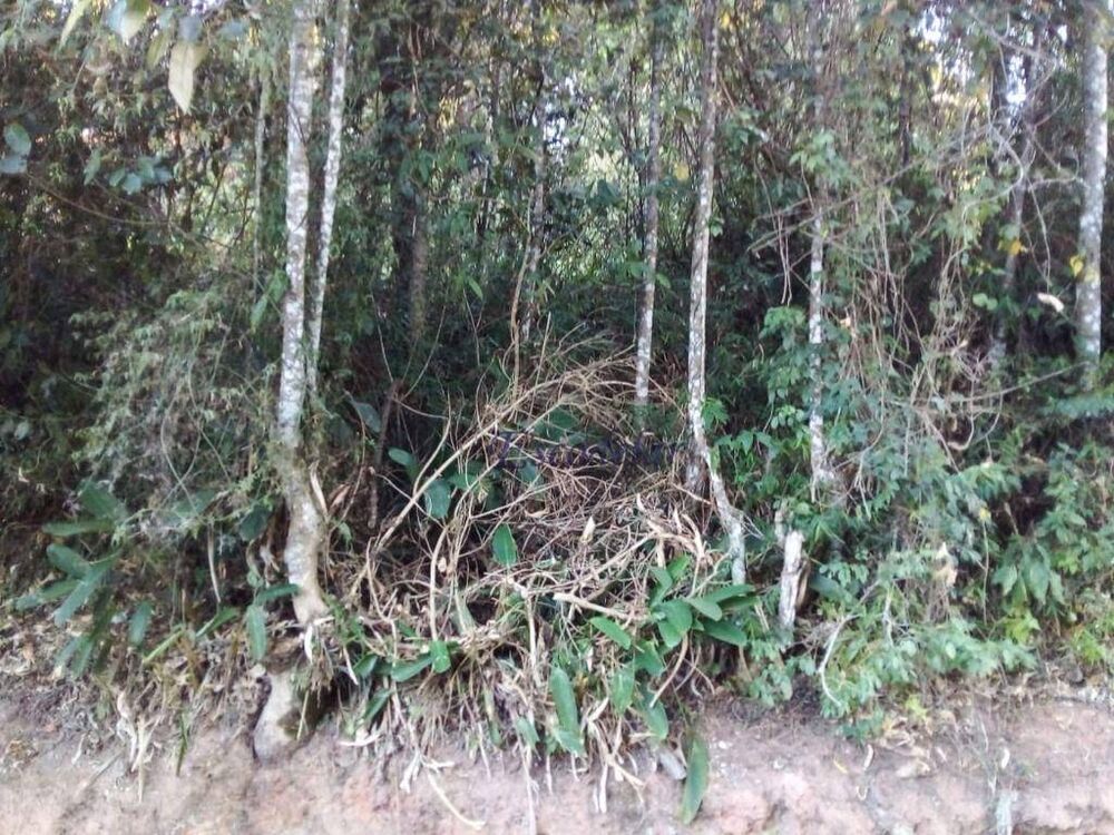 Loteamento e Condomínio, 865 m² - Foto 2