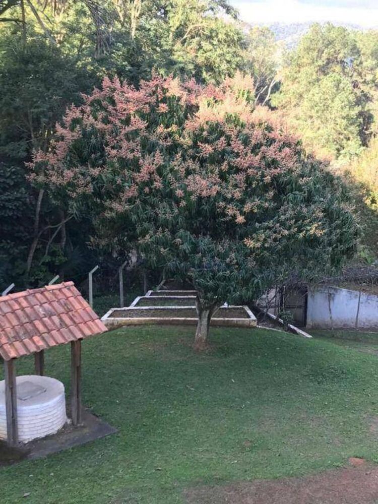 Chácara à venda com 5 quartos, 790m² - Foto 3
