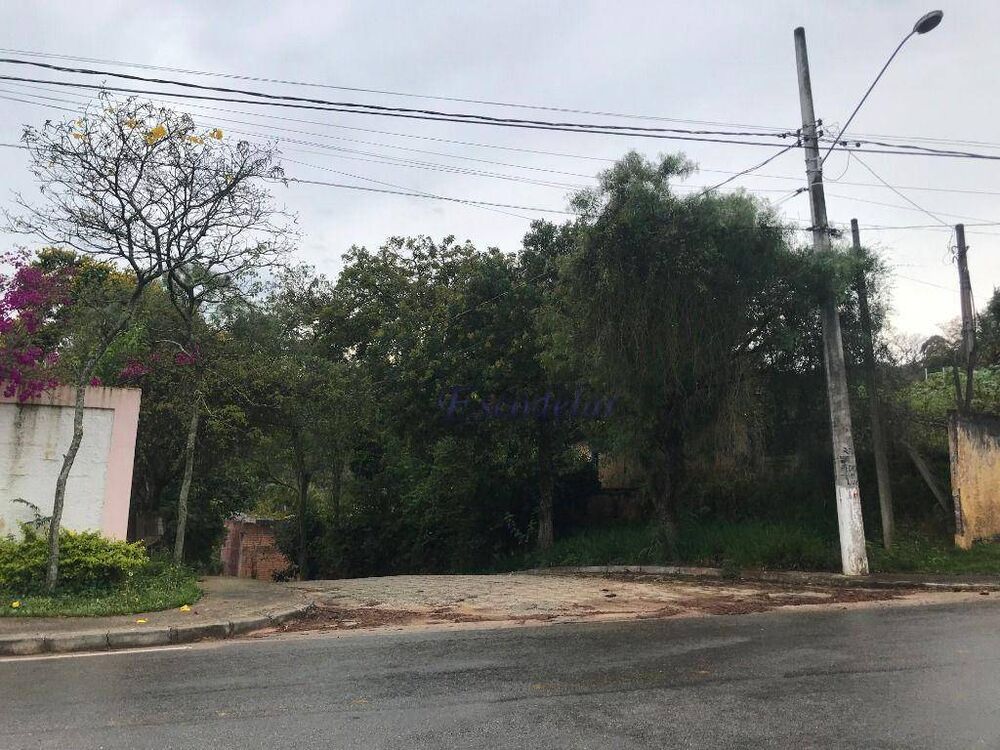 Terreno, 2 hectares - Foto 3