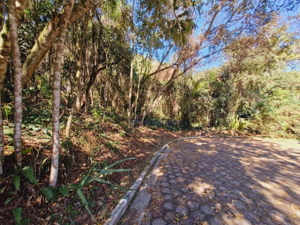 Terreno, 1194 m² - Foto 3