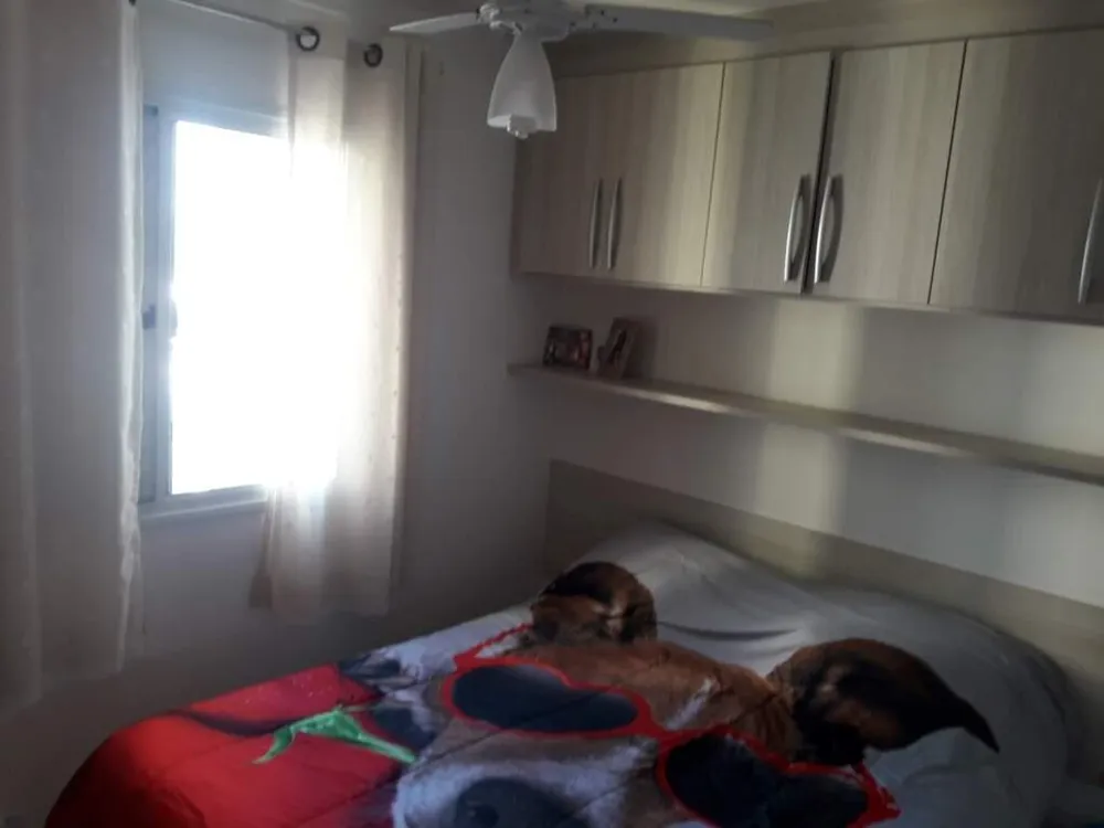 Apartamento, 3 quartos, 63 m² - Foto 4